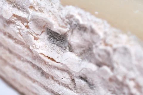 Macro close-up shot showing texture and mold patterns of Gorgonzola blue chee Stock Photos
