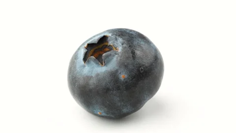 Macro Close-Up of Single Fresh Blueberry Isolated on White Background 4K Stock Footage 320657304