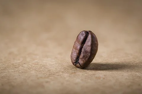 Macro close-up of single roasted coffee bean with minimal copy space Stock Photos