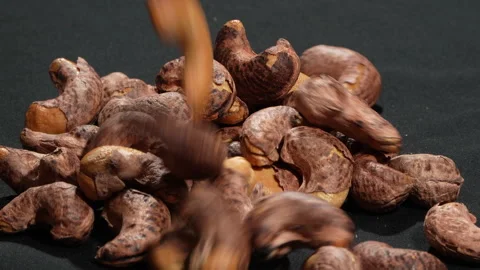 Macro Close-up of Slow Motion Salt-Roasted Cashews with Skin. Stock-Footage 333674660