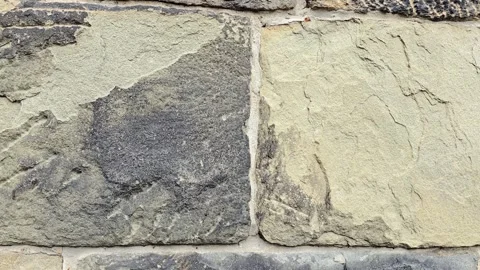 Macro close-up slow tracking shot of a weathered stone wall texture Stock Footage 344612354