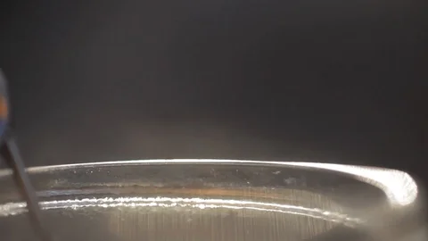 Macro close-up of a smoking hot tea cup Video stock 103147408