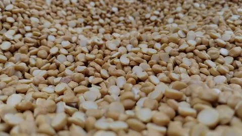 Macro Close-up of Split Chickpeas Chana Dal High Protein Vegan Lentil Texture Stock Photos