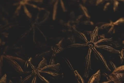 Macro close up of star anise Stock Photos