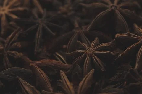 Macro close up of star anise Stock Photos