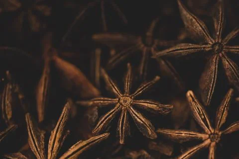 Macro close up of star anise Stock Photos