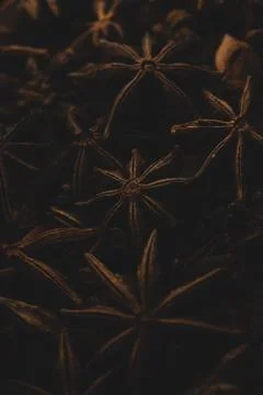 Macro close up of star anise Stock Photos