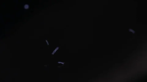 Macro close up of sugar falling to create and form a pile Vídeo Stock 70245565