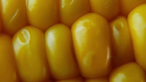 Macro Close Up of Sweet Corn Kernels with Slow Horizontal Camera Slide. Stock Footage 340028489
