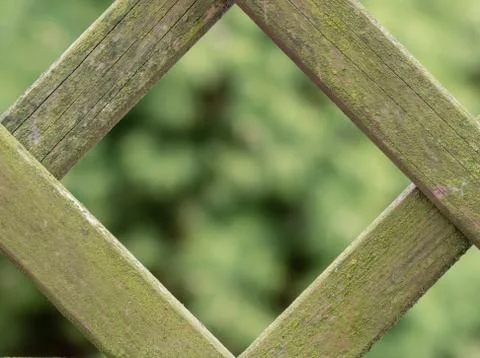 Macro close-up of texture for background Stock Photos