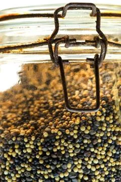 Macro close up of various seeds for sprouting in an preserving jar Foto stock