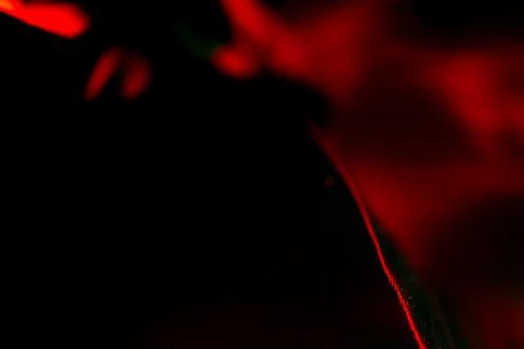Macro close up of vibrant red feathers texture on dark background with sele.. Fotos Stock