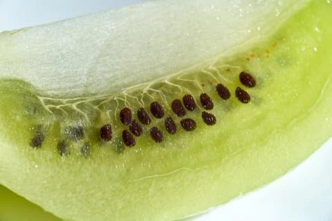 Macro close-up view of fresh green kiwi fruit flesh and tiny dark seeds Stock Photos