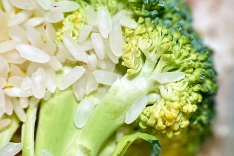 Macro close-up view of fresh green broccoli florets mixed with white rice g.. Stock Photos
