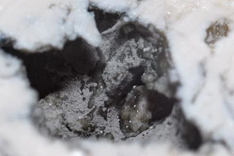 Macro close-up view showing the textured structure and blue mold of Gorgonz.. Stock Photos