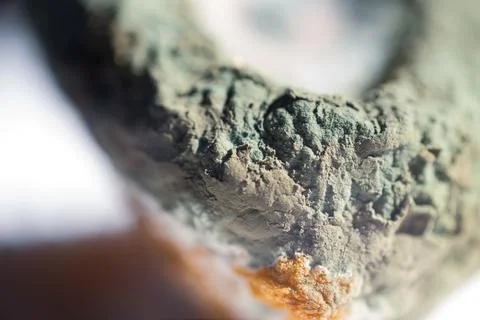 Macro close-up view of a spoiled and moldy lemon surface texture Stock Photos
