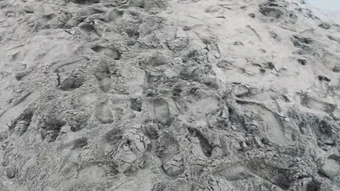 Macro Close Up View Texture Sandy Beach Ocean Tide Footage Stock Footage 337818640