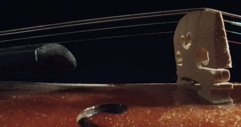 Macro close up of violin and strings Stock Footage 319884212