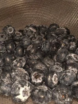 Macro Close-Up of Washed Blueberries Stock-Fotos