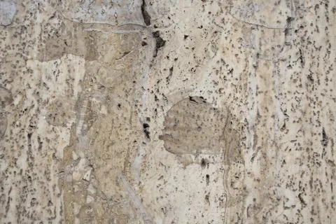 Macro close-up of a weathered stone wall surface in Bucharest featuring pitte Stock Photos