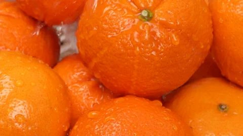Macro Close Up of Wet Oranges with Water Droplets 4K Stock Footage 319486226