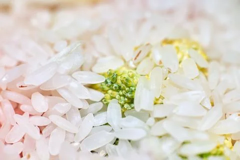 Macro close-up of white rice grains mixed with small pieces of green broccoli Stock Photos