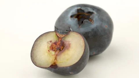 Macro Close-Up of Whole and Cut Half Blueberry Cross-Section 4K Stock Footage 320658160