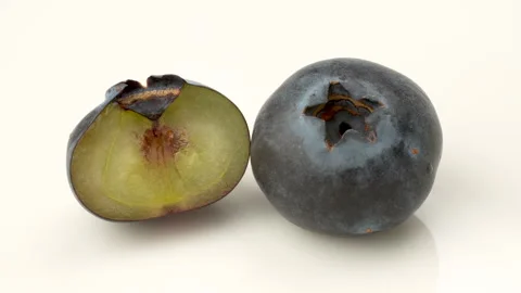 Macro Close-Up of Whole and Cut Half Blueberry Cross-Section 4K Stock Footage 320658628
