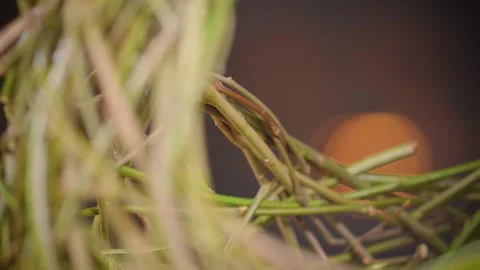 Macro Close Up Of Willow Random Weave Basket With Fireplace In Background Stock Footage 253339233