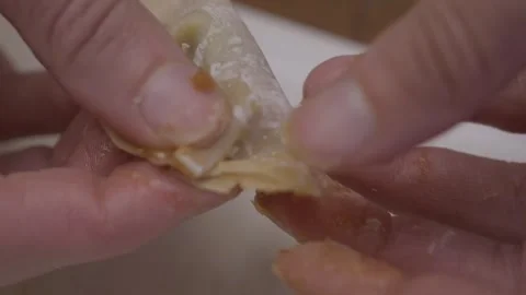 Macro close up wonton gyoza dumpling folding Stock Footage 274090872