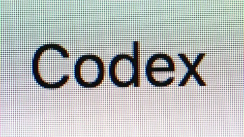 A macro close-up of the word &amp;quot;codex&amp;quot; typed on a digital screen Stock Footage 335702437