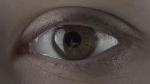 Macro Close-up wumen eye blinking Stock Footage 84822868
