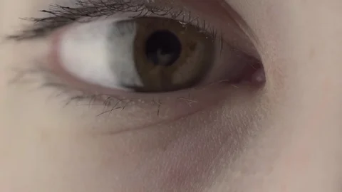 Macro Close-up wumen eye blinking Video stock 84822950