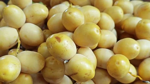 Macro Closeup of Abundant Fresh Yellow Date Palm Fruits. Stock Footage 340456239