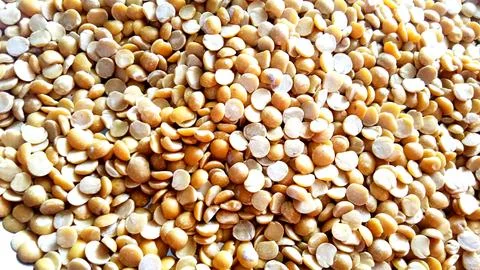 Macro closeup background texture of yellow chana split peas Stock Photos
