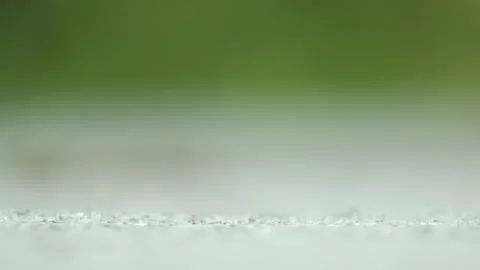 Macro closeup of blown alone lizard warming on summer sun. Anolis sagrei small Stock Footage 229673698