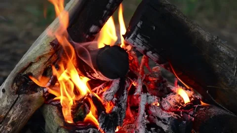 Macro closeup of bright campfire flames and burning logs with glowing embers Stock Footage 345121460