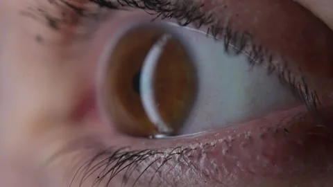 Macro closeup eyeball opening EYE wide open, tight detail or iris retina, S.. Stock Footage 257781052