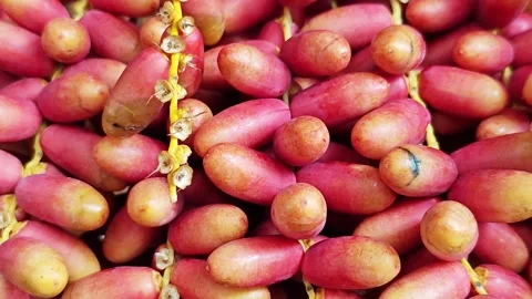Macro Closeup of Fresh Red Date Palm Fruits on Stems. Stock Footage 340487116
