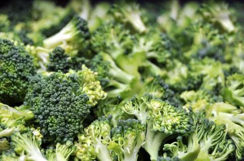 A macro closeup of the green vegetable, cut broccoli. Stock Photos