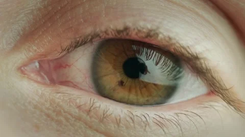Macro closeup of human eye showing iris texture and pupil dilation. Stock Footage 334658952