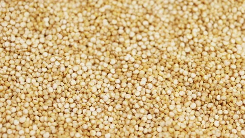 Macro closeup of quinoa seeds rotating, with a shallow depth of field Stock Footage 140583050