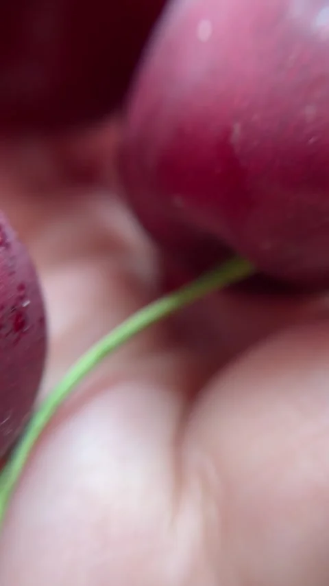Macro closeup red cherry merry organic fresh berry fruit half texture background Stock Footage 337645882