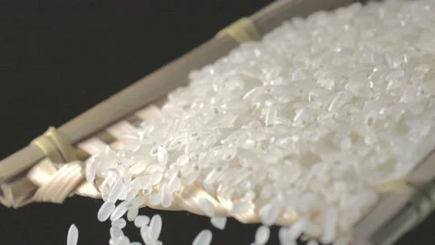 Macro closeup Rice  grain falling Stock Footage 234164492