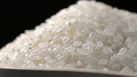 Macro closeup Rice  grain Stock-Footage 234164586