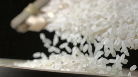Macro closeup Rice grain grain falling Stock Footage 234164485