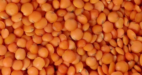 Macro closeup rotating red lentil dal Stock Footage 172920925