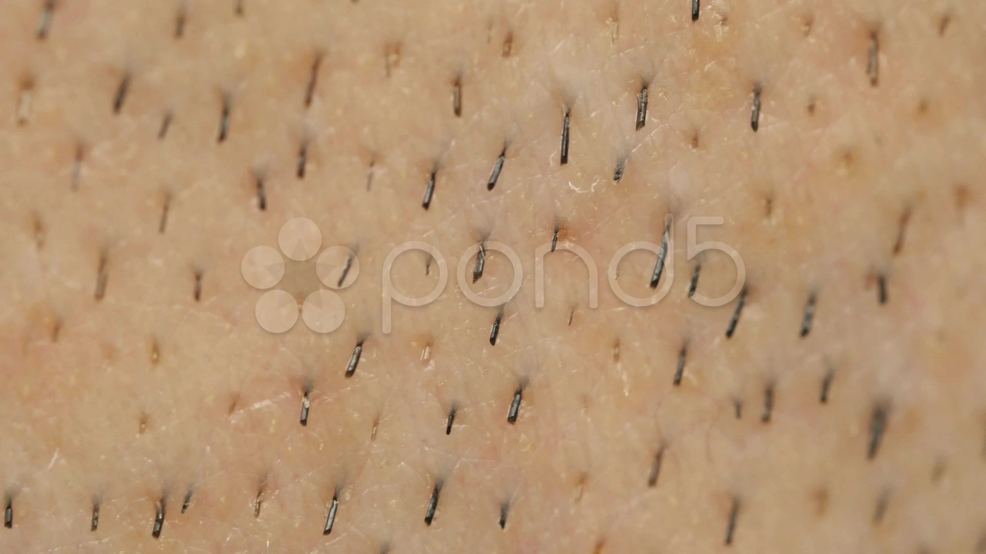 Macro Closeup Shaved Hair Skin Male 4K U... | Stock Video | Pond5