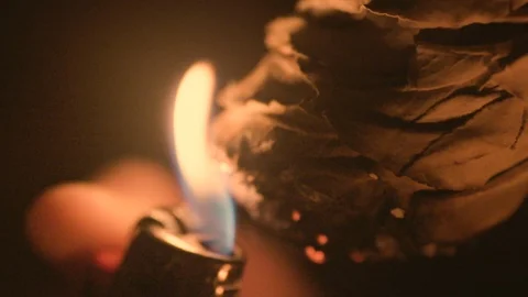 Macro closeup slow motion: Lighter flame burns along the edge of bundle of Sage Stock Footage 101250144