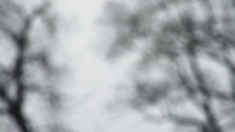 Macro closeup of snow falling down with blurred trees in the background Stock Footage 268692499